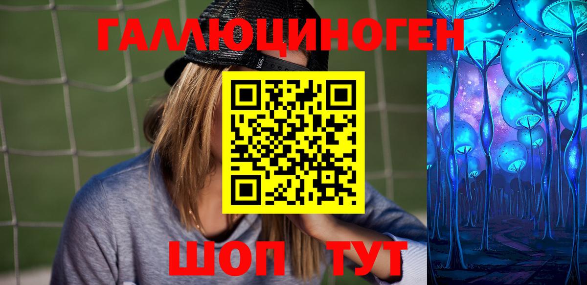 Чита  Галлюциногенные грибы Psilocybine cubensis  Вход с VPN 