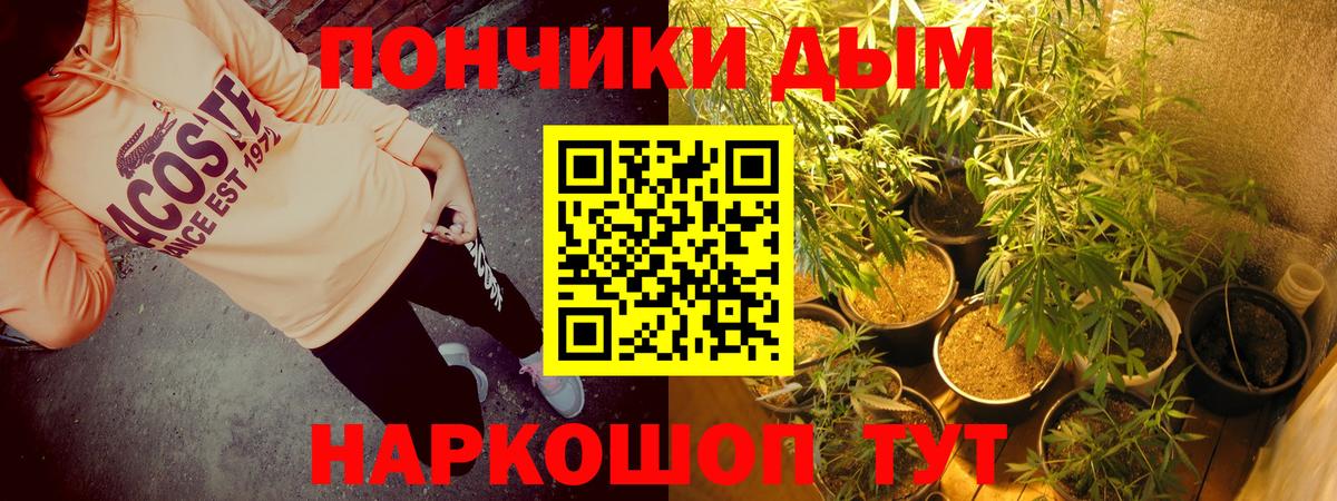 Бошки Шишки гибрид Чита